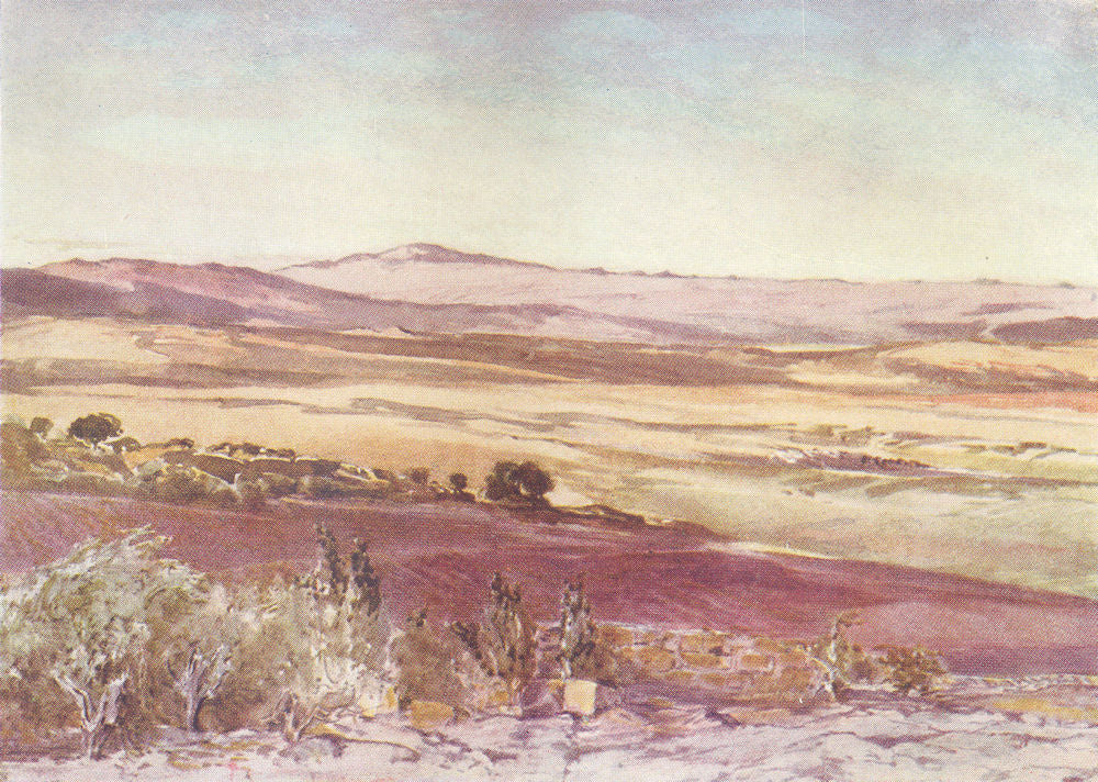 SYRIA. Mount Hermon from the slopes of Tabor 1902 old antique print picture